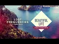 Lost Frequencies feat. Sandro Cavazza - Beautiful Life (Gareth Emery Remix)