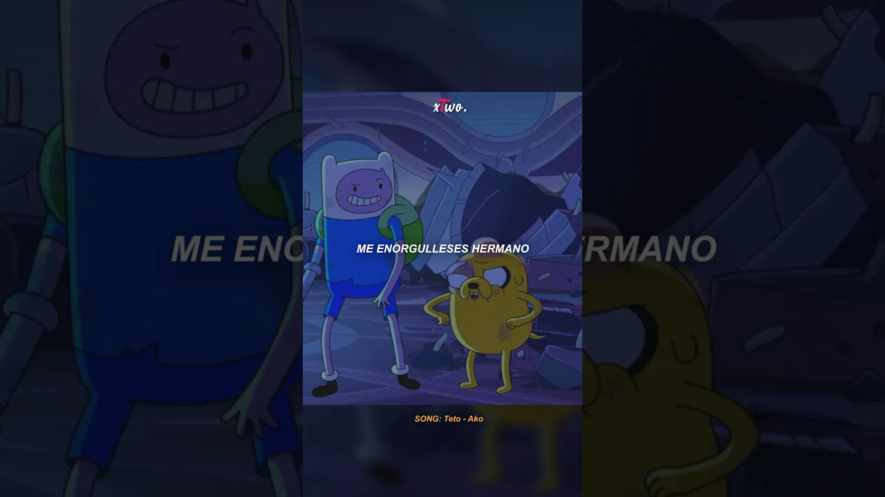 LA VIDA DE FINN Y JAKE