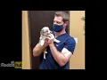 handsome content BEST OF
