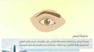 الحواس الخمس للاطفال شرح رائع 