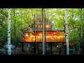 A Magic Treehouse in a Hidden New England Adventure Town