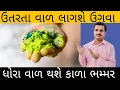 ઉતરતા વાળ અને ધોરા વાળનો રામબાણ ઈલાજ | Homeremedy for hair fall and grey hair 