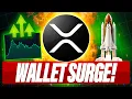 Download Lagu WALLETS MET EEN STIJGING VAN 10.000 XRP - WEER EEN VOORSPELLING VAN $ 18.000+ XRP - MAN VERLIEST ...