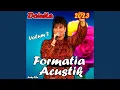 Download Lagu Ia asculta aici mai omule, ca doar o viata ai Doinita si Formatia Acustik