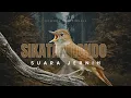 Lagu Suara Burung Sikatan Londo Paling Merdu | Common Nightingale Bird Song (Real HD Recording)
