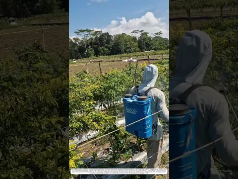 Plant Protection: How Manual Backpack Sprayer Secures Farming Success 