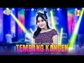 Download Lagu Yeni Inka ft Ageng Music - Tembang  Kangen (Official Live Music)