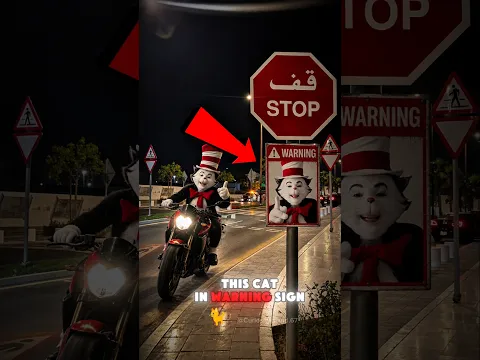 Why Is the Cat in the Hat Riding a Motorcycle at Night? 😨🏍️