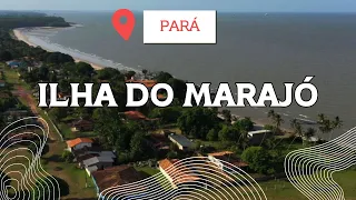 A Ilha do Marajó no Pará |Marajoando Cultural