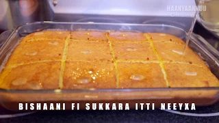 AKKAATAA Busbus Cake ITTI TOLCHAN 