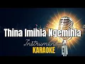 Download Lagu Thina Imila Ngemihla - Instrumental with lyrics | Karaoke
