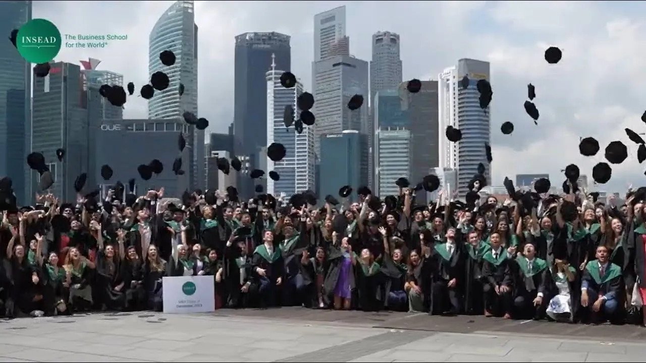 INSEAD — INSEAD MBA — The MBA that stands for excellence (YouTube video ad)