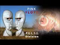 Pink Floyd - The Division Bell Live Album