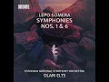 Symphony No. 1: I. —