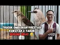 Download Lagu CERITA TRUCUKAN OMBYOK RAWATAN 2 TAHUN SUDAH BANYAK PRESTASI, BURUNGNYA GIRAS❗