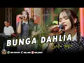 Download Lagu BUNGA DAHLIA - LAILA AYU | Mojo Music Live
