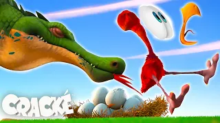 Ed’s Crazy Plan to Save His Eggs! ⛳  | CRACKÉ Funny Kids Cartoons