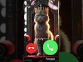 Download Lagu My Love Cat Calling - Meow Ring Tone #calling  #ringtone  #ring #meow  #catringtone
