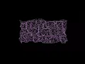 Animation Origami Design Computing Python Rhinoscript Rhino 3D Creativity Chaos Order