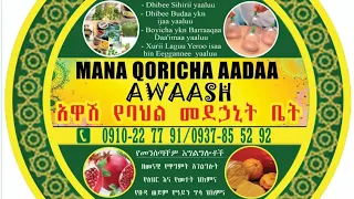 Dawaa Dorgomaa Hin Qabne Siriiti Dhaggeeffadhu Muka Tokkoon Dhibee Hedduu Yaaluu 