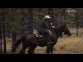 Horseback Riding near Bryce Canyon ~ Slow Motion