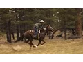 Download Lagu Horseback Riding near Bryce Canyon ~ Slow Motion