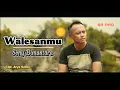 Lagu WALESANMU - SONY BIMANTARA