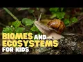 Biomes and Ecosystems for Kids Learn about the different types of ecosystems and biomes