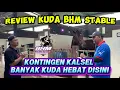 Download Lagu Kontingen KALIMANTAN SELATAN ‼️ Review KUDA PACU BHM STABLE. Menuju FINAL KEJURNAS INDONESIA DERBY