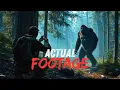 Encounter in the Mississippi Swamp Josh Highcliff s Bigfoot Sighting With Full Footage