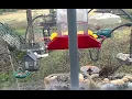 Bird feeding cam - Georgia