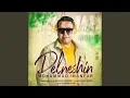 Lagu Delneshin