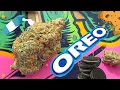 Oreoz Strain Review