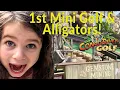 Congo River Golf Exploration Co Time Mini-Golf Live Gators