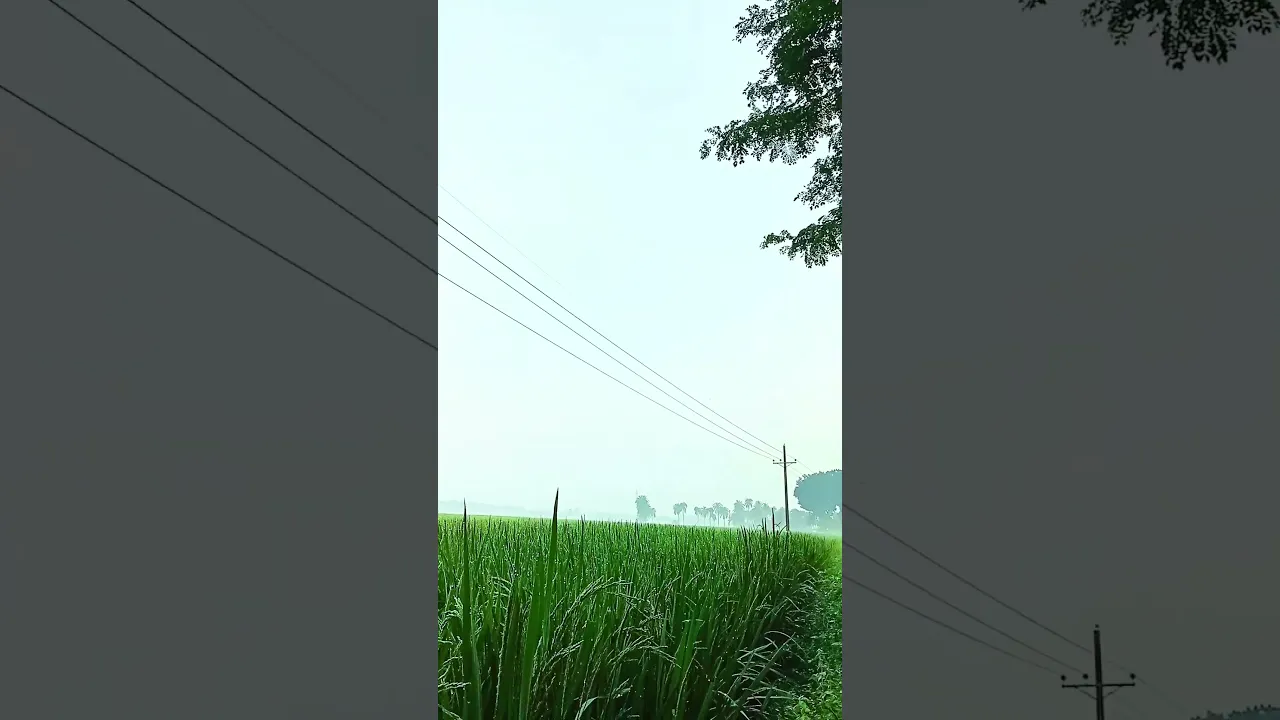 🎤আবুতোহা আদনান #abu_toha_muhammad_adnan #wazbangla #shorts poster