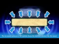 Pressure Treated Wood The Complete Guide to the Pressure Treatment Process for Wood