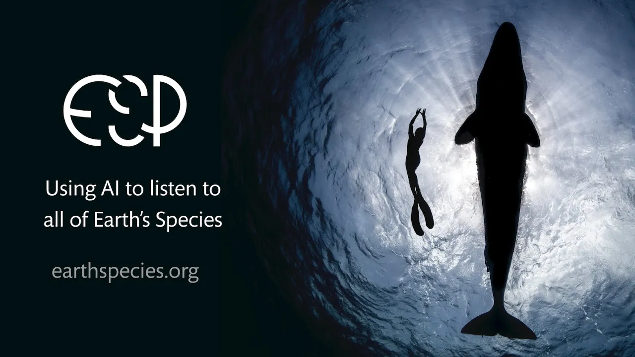 Using AI to listen to all of Earth's Species