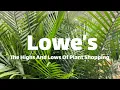 Lowe s Plants Shopping With High Expectations