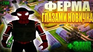 ФЕРМА - ЛЁГКИЙ ЗАРАБОТОК ДЛЯ НОВИЧКА AMAZING RP