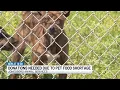 Jonesboro Animal Services seeks pet food donations amid shortage