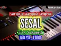 Download Lagu KARAOKE SESAL NADA PRIA ELVY SUKAESIH_Karaoke Dangdut Original