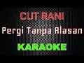 Download Lagu Cut Rani - Pergi Tanpa Alasan [Karaoke] | LMusical