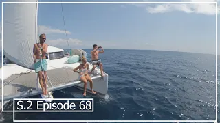 Great Sailing with Costa Rican Dolphins | Episode 68