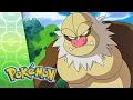 Lagu Love, Petalburg Style! | POKÉMON FULL EPISODE 29 | Season 7