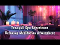 Tranquil Spa Experience - Relaxing Meditation Atmosphere