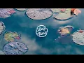 Joey Pecoraro - Ask For Love