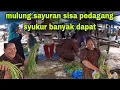 Download Lagu MULUNG SAYURAN ⁉️ LEBIH BAIK DI MAKAN DARI PADA DI BUANG KATA PEDAGANG 