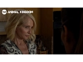 Animal Kingdom Season 1 TNT