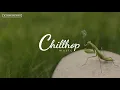 Stan Forebee - Apple Juice [Chillhop Records]