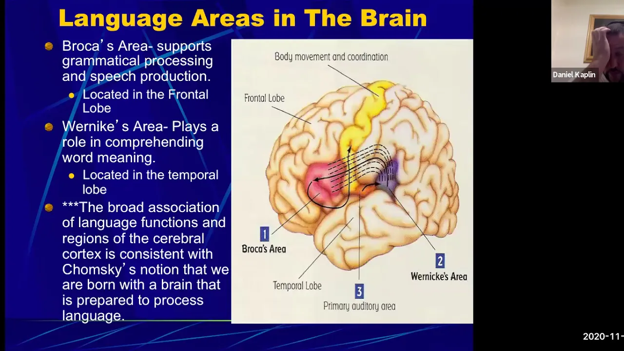 Developmental Psychology: Language Development
